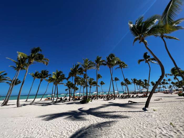 Solo travel Dominican Republic: Beautiful white sandy beach with palms in Cap Cana on a bright sunny summer day with deep blue skies over the water.