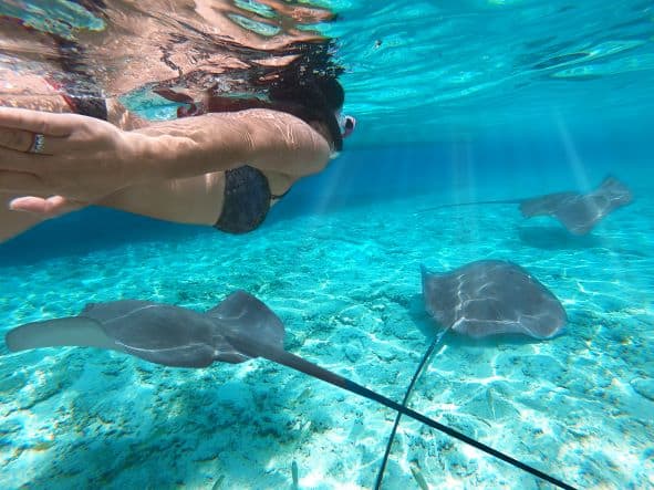 Is the Caribbean in North America: woman swimming in crystal clear waters with stingrays