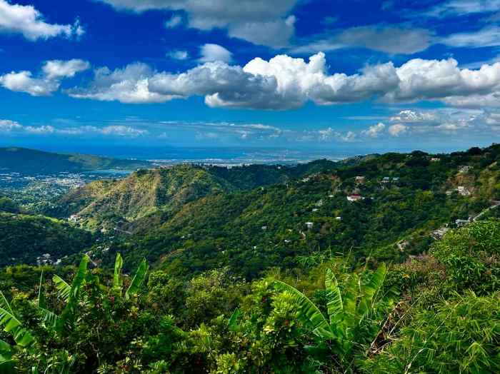 Montego Bay to Kingston Jamiaca: transport options. One way is across the stunning vast Blue Mountains, where there are infinite views of green waivy hills.