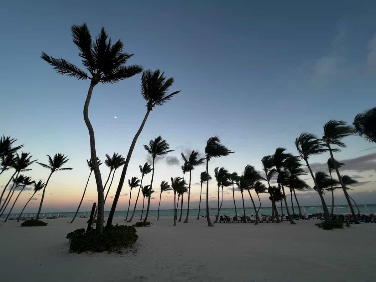 The best resorts in Punta Cana for singles have amazing beaches like this one north of the center just after sunset, white sands strewn with tall palm trees in relieff to the pinkish blue sky.