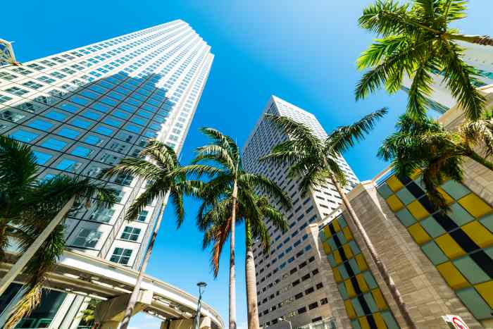 Downtown Miami sky scrapers seen from below, with palm trees against the bright blue sky