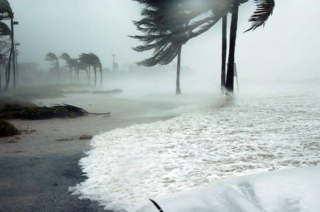 A beautiful sandy beach during a storm, with fierce winds pulling the palm trees, and whitewater rolling in over the beach