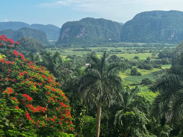 The lush green wide Vinales Vallet in Cuba under a hazy blue sky