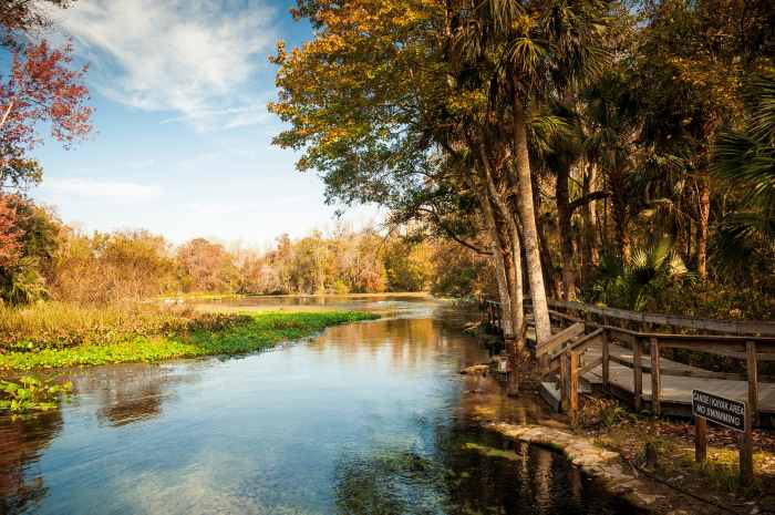 Hiking Trails Orlando: Uncover Beautiful Orlando Nature Trails! (2024)