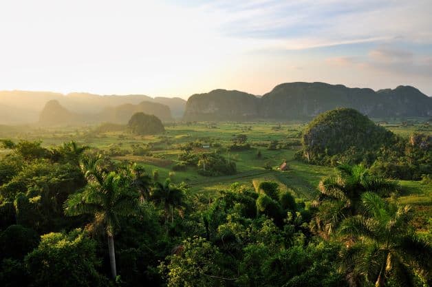 A vast and lush green valley stretching into the distance with green fields, palm trees and small green hilltops under a hazy blue morning sky as the sun rises