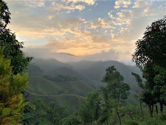 Stunning views along the Lost City Hike in Colombia, a pink sky in the distance behind infinite hills and jungle