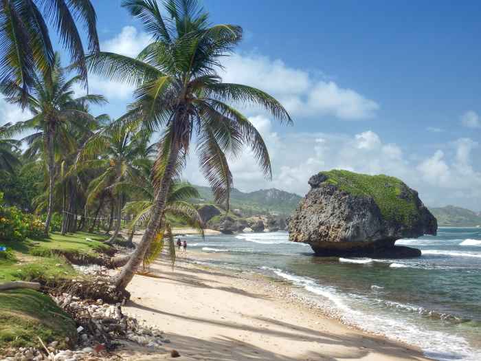 Stunning Caribbean beach with golden sands, palm trees, and crystal clear waters under a blue sky