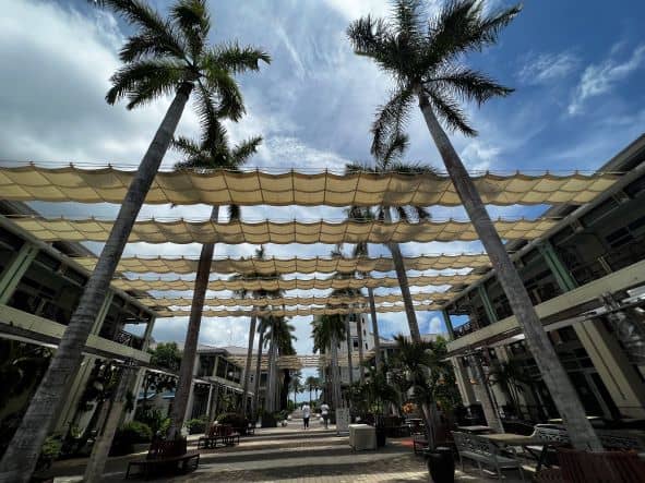 Outdoor pedestrian zone between the shops in Camana Bay, with a partly covering roof shielding you from the sun, surrounded by greenery, palm trees and flowers. 