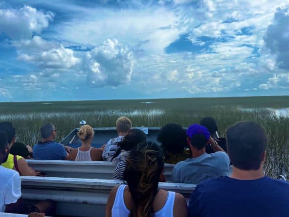 My speedy airboat adventure on the Everglades in Miami, a small group tour where we are close to the elements and animals. The view here of the Everglades green grassy water marches is infinite!