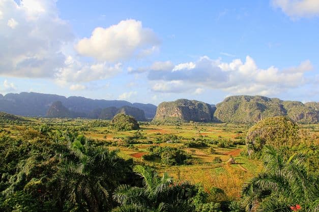 Vinales valley floor in bright sunlight, all green and beautiful, with several mogotes in the distance. 