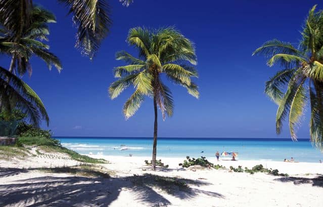 White sandy beach in Varadero surrounded by palm trees, and you see the blue ocean below the beach on a sunny day