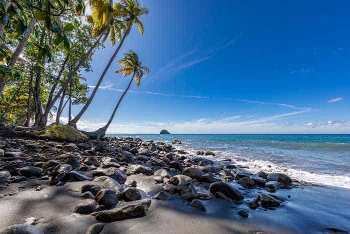 Anse Couleure Beach in the Antilles with rounded rocks from the waves in the ocean, soft sands, and leaning palm trees under the blue sky