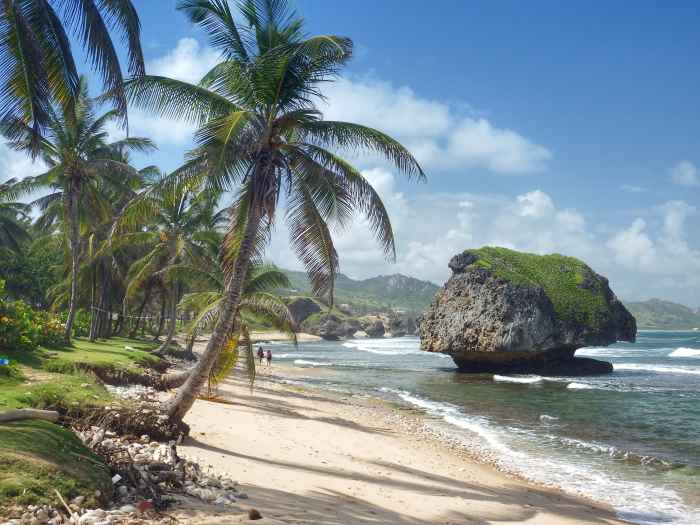 Dreamy beaches in Barbados, with hazy air on a sunny day, white sandy beach, and crystal clear water with palm trees lining the coastline and green hills in the background