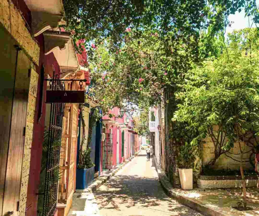 Charming narrow street in Cartagena with colorful houses, balconies and sigh posts, with lots of green plants, trees, and flowers in the warm sunshine