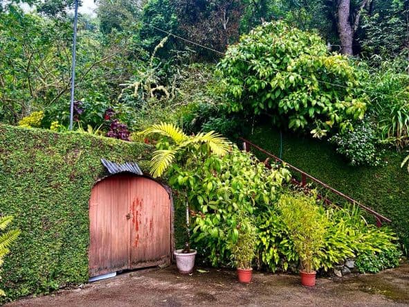 A red curved double door to an old coffe been storage at one of the old coffee plantations in the Blue Mountains, surrounded by incredibly green bushes and plants