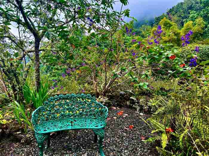 A decorative green iron park bench standing alone in the mountains in the middle of the wet greenery after the afternoon rain