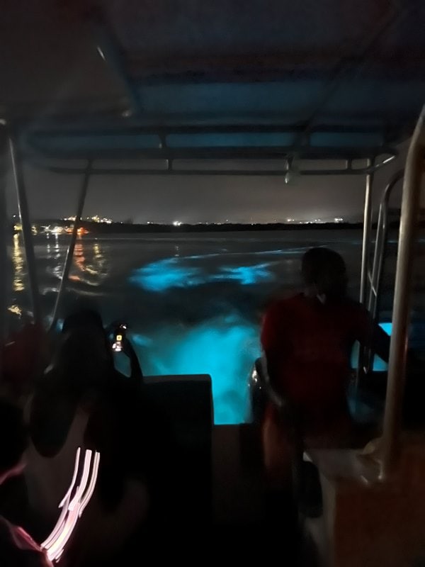 There are blue lit areas behind the dark boat in the night, as the engines stir up the plankton on our way out to the swimming area