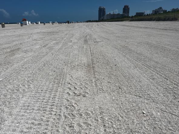 The part of Miami beach white sands where you are allowed to drive, you see tire tracks in the white sand that is hard in this area. 