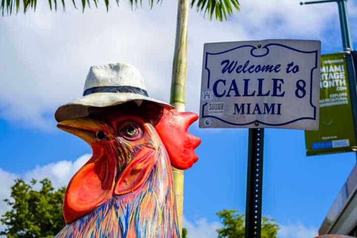 Thousands of Cubans live in Little Havana in Miami, which is where you find the famous Calle 8 (street eight). There is a huge chicken statue right next to the Calle 8 signpost in Miami. 