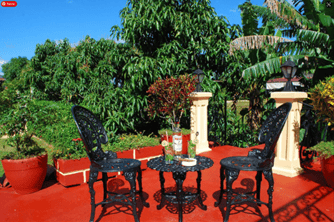 Refreshments in the garden in your casa particular in Vinales Cuba on a red pation, with green trees in the background on a sunny summer day with blue skies