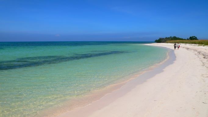 The beautiful Cayo Jutias beach with white warm sands and crystal clear waters against the clear blue sky. Walk along this pristine beach to find peace of mind. 