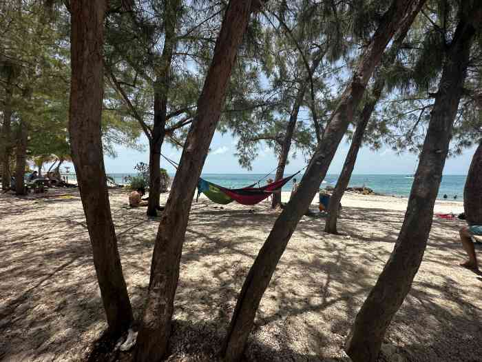 A sunny day on Coral Reef State Park in Key West, there are hammocks hanging between the trees, and the beach and the ocean can be seen behind the trees. 