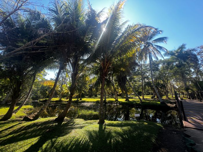Cienaga de Zapatos biosphere, lush green parks, ponds, and palm trees
