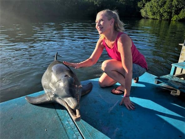Photo of me greeting one of the dolphins in the Varadero dolphinarium on a sunny day, which is situated in a natural mangrove. 