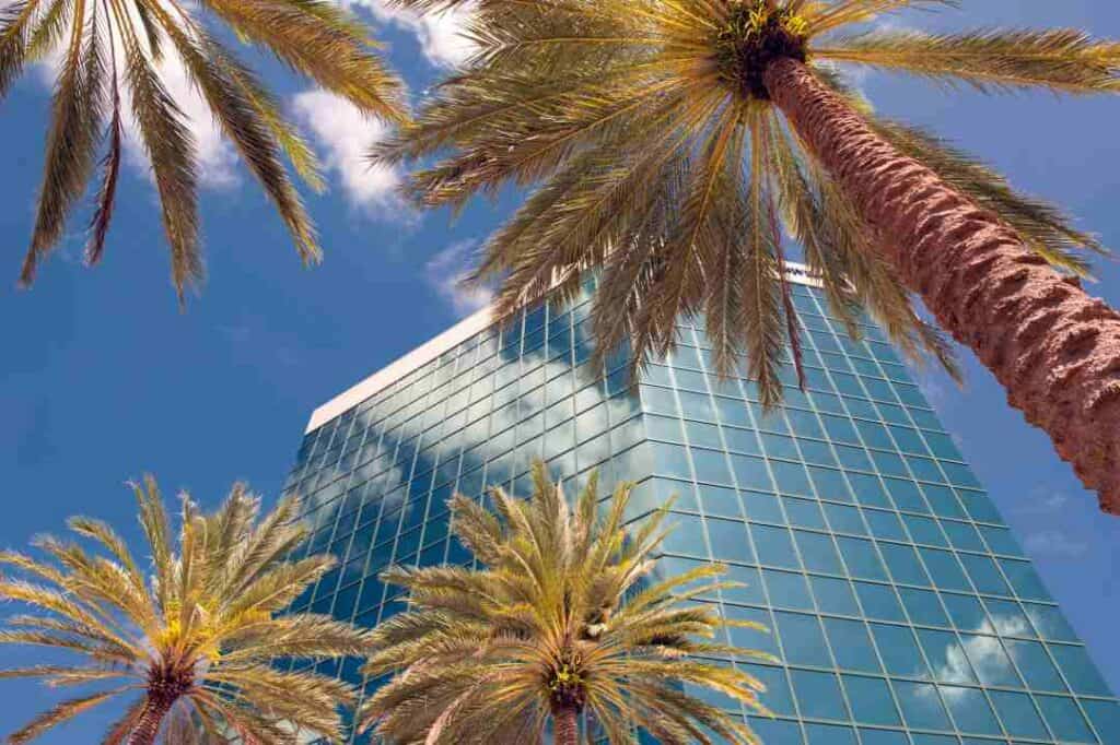 Downtown Fort Lauderdale, views from the street upwards to the sky of a glass covered highrise with palm trees in the frame, on a bright sunny day with blue skies