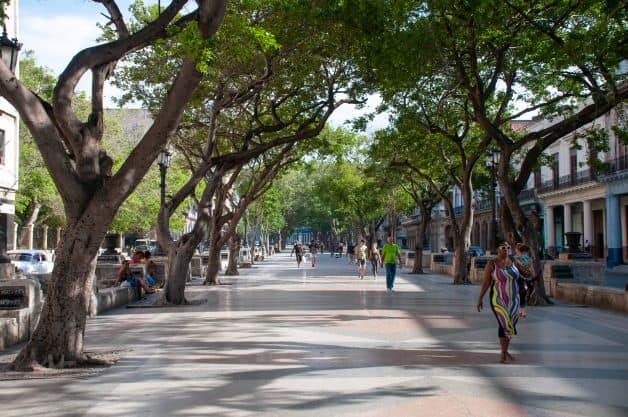 The venerable Prado Avenue with decorative tiles, lined with large green trees. 