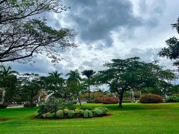 The beautiful green graas, flowers and trees in Emancipation Park during the day time on a bright day with light cloud cover