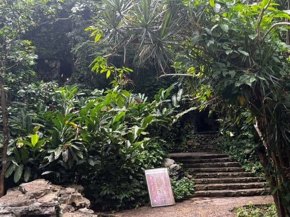 The entrance to Cueva del Indio in Vinales, the stairs going into a wilderness of green bushes and plants before you enter the cave