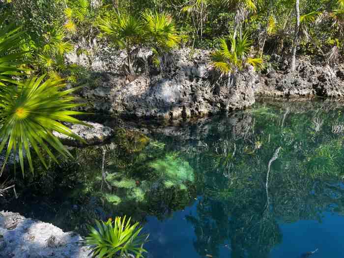 Freshwater pond at Cueva de Pesca, a small oasis with crystal clear water surrounded by greenery a few hundred yards from the ocean in the Bay of Pigs