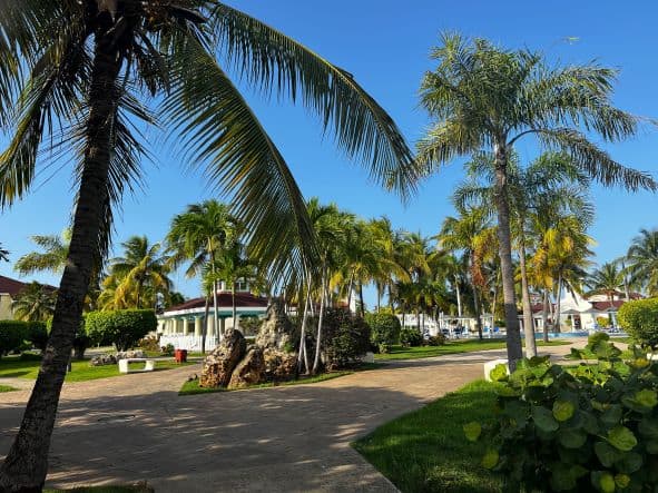 Beautiful green gardens at the Iberostar Playa Alameda in Varadero, strewn with palm trees, bushes and flowers among the small white bungalows. 