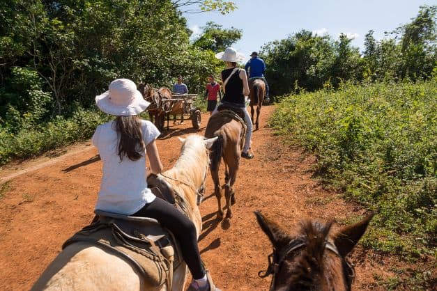 Horseback riding in Vinales Valley in Cuba, a line of horses walking slowly across red mud paths with green fields on the on side and green forest on the other on a sunny summer day. 