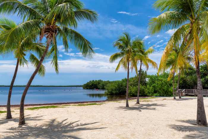 Golden sandy beach and green palm trees at John Pennekamp National Park in southern Florida on a sunny summer day by the sea