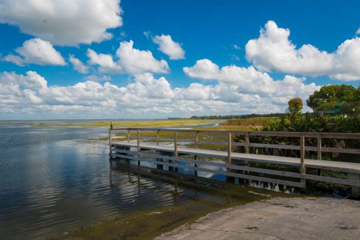 A small wooden pier stretching into Lake Apopka along green bushes, with the low forest into the background under a partly clouded sky on a summer day