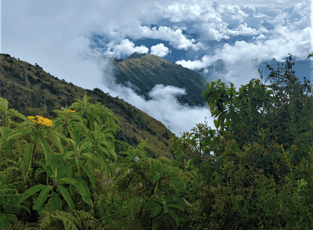A viewpoint from the Inca trail, where I am standing in icnredible greenery, looking at mountains in the distance partly covered by floating white clouds. 