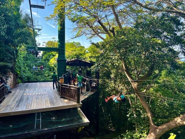 The wooden platform that is the end point for the zip line in Mystic Mountain Ocho Rios, surrounded by lush green forest on a sunny day