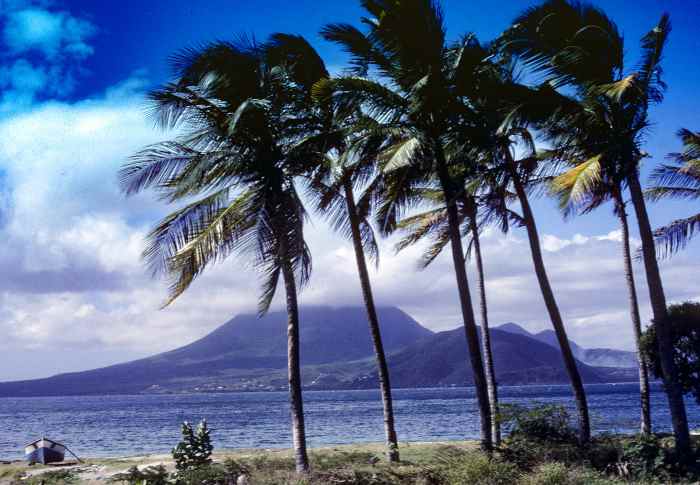 The green hills of Nevis Island seen from St Kitts in the distance, between tall palm trees under the blue sky with dotted white clouds