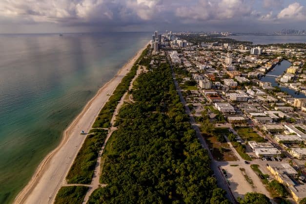 Aerial photo of North Beach Oceanside park, a large forest park separating the residential area from the sandy beach