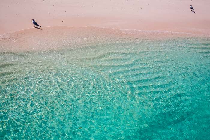 Pink sand beaches with green crystal-clear water in the Bahamas