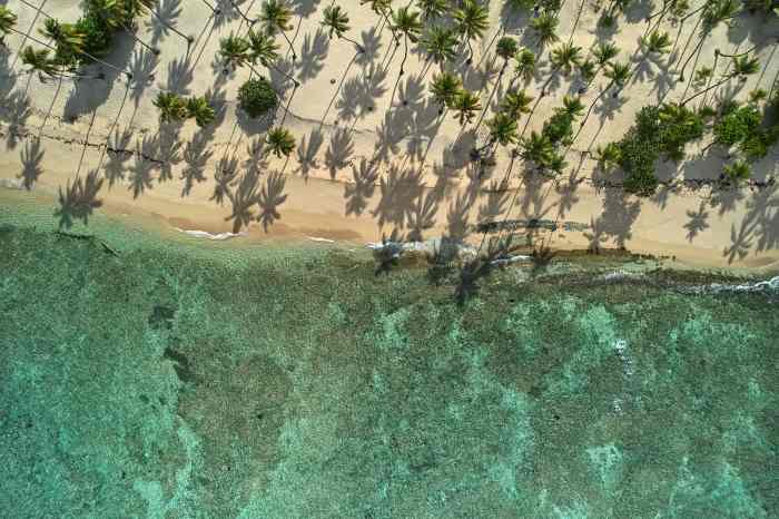 Aerial photo of Caleton Beach, with greenish crystal clear water and golden sands with palms strewn along the shore. 