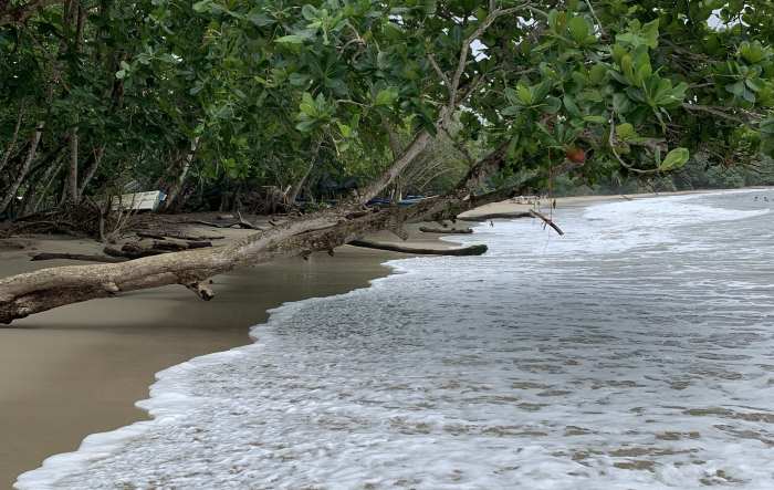 A pristin secluded beach in Costa Rica