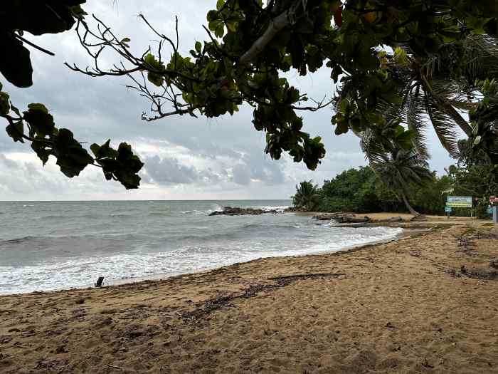 Rincon Public Beach on a clouded day in the wet season. The surfe is white, and the beach is golden yellow, surrounded by green trees. 