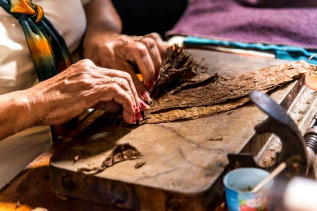 A woman with red nail polish rolling Cuban cigars from the dried tobacco leaves on a wooden bench