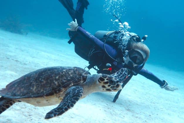 Scuba diving with a sea turtle in crystal clear waters just above the white sandy bottom
