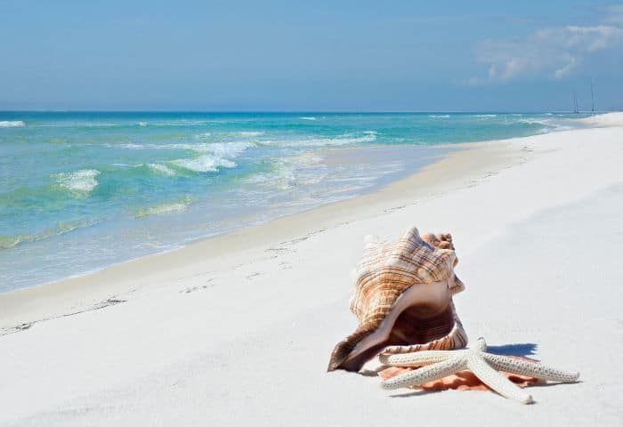 Large shell on a white sandy beach in Florida, with the crystal clear water coming in with the soft waves on a sunny day