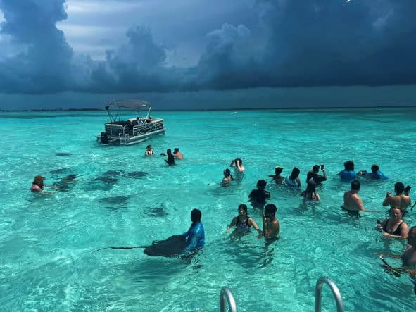 Lots of people in the crystal clear waters in Stingray City, a sand bank far from shore where the crystal clear water reaches your stomach. Guides help you in and out of the water, and take care of you and the stingrays, that come to these sand banks of their own free will in the ocean. 