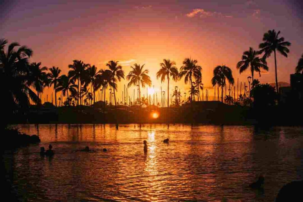 A spectacular sunset in deep reddish golden colors, reflected in the water in the foregorund, with palm trees further in the back in relieff to the glowing sky and sun